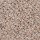 Horizon Carpet: Earthly Details II Magnolia Blossom